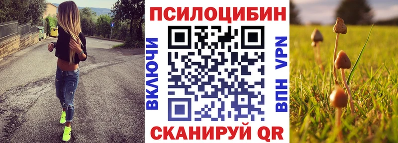 Псилоцибиновые грибы мухоморы  Купить  Севск 